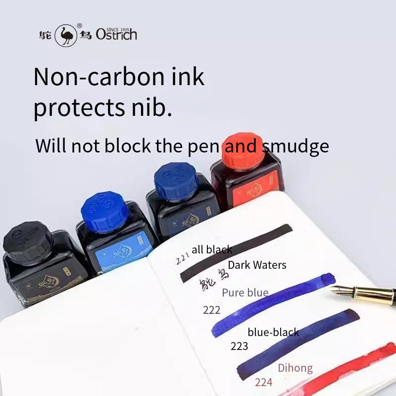 Ostrich 2-Series Fountain Pen  - Fountain Pen Bottled Ink のレビューと価格