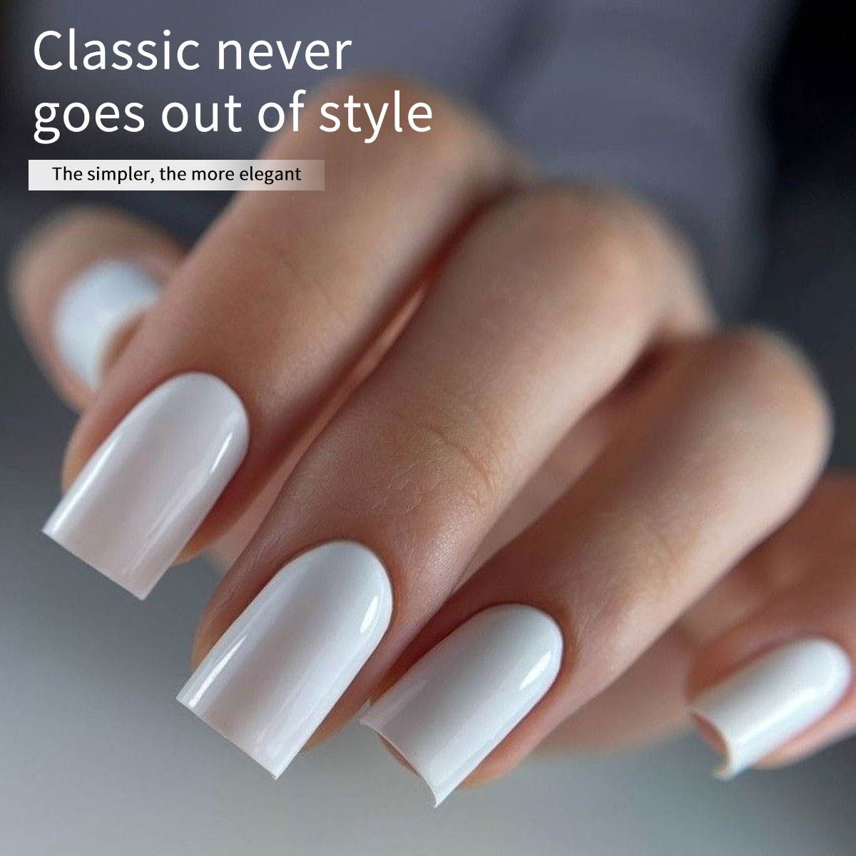Hassleless 2-Pack Pure White + - Gel Refill Pack のレビューと価格