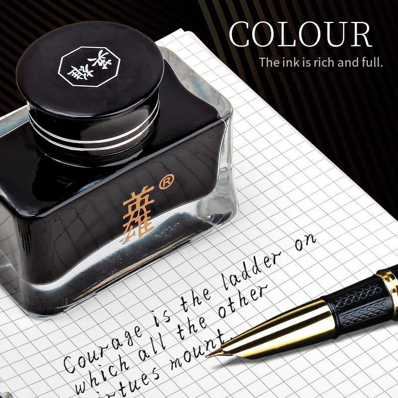 Hero 8806 Black Fountain Pen I - Fountain Pen Bottled Ink のレビューと価格