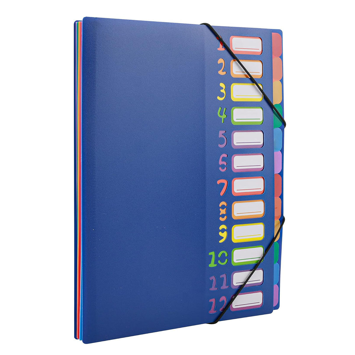 A4 Size Rainbow Tab Expanding  - Tab Divider A4 のレビューと価格
