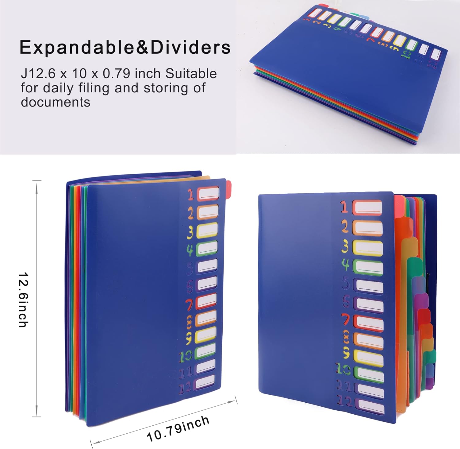 A4 Size Rainbow Tab Expanding  - Tab Divider A4 のレビューと価格